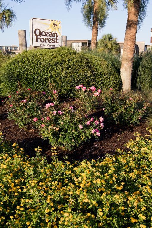 Ocean Forest Villas Myrtle Beach Ngoại thất bức ảnh